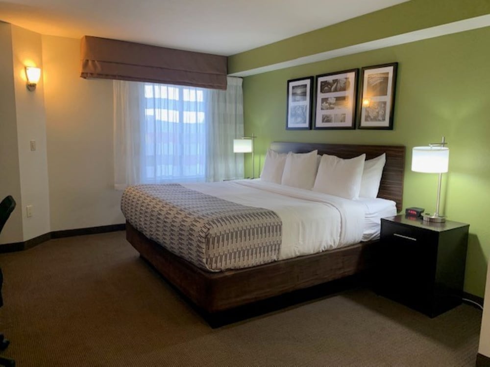 Standard Room, 1 Queen Bed, Accessible, Refrigerator & Microwave - Photo 6