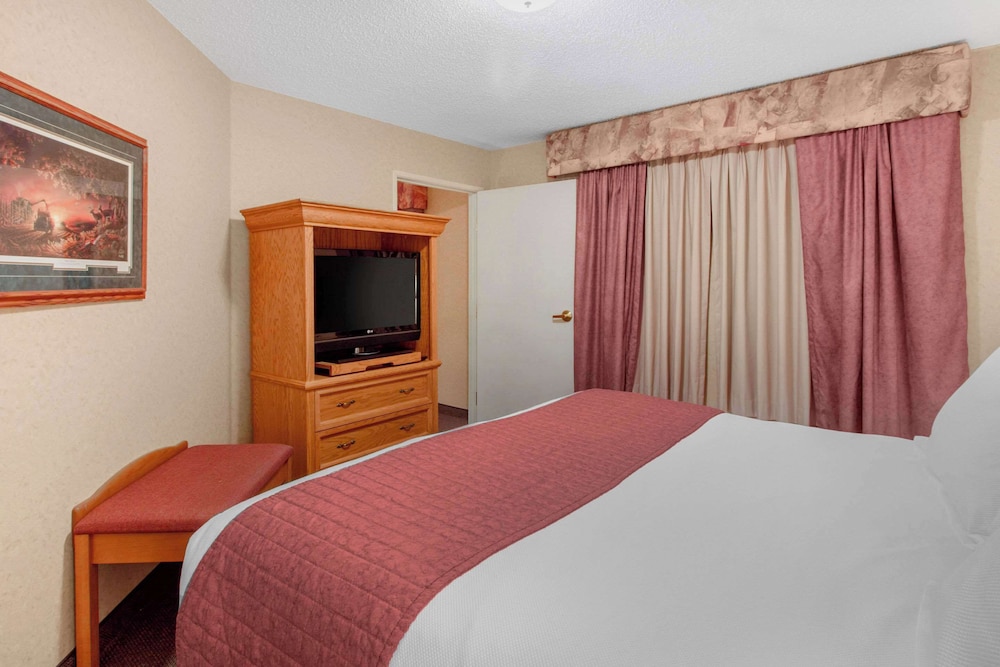 Room, Multiple Beds, Non Smoking photo 3