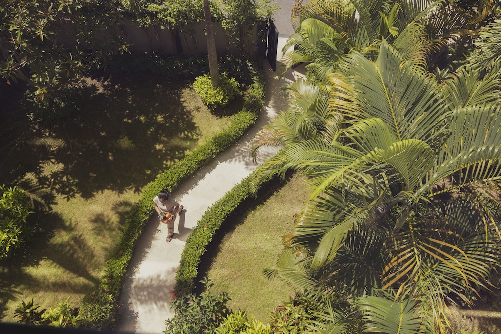 Suite (Garden) - Photo 6