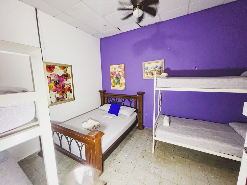 Deluxe Shared Dormitory photo 2
