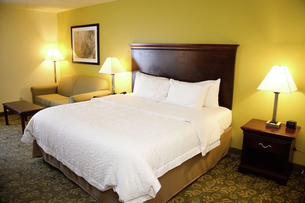 Room, 1 King Bed, Non Smoking (Study) photo 1