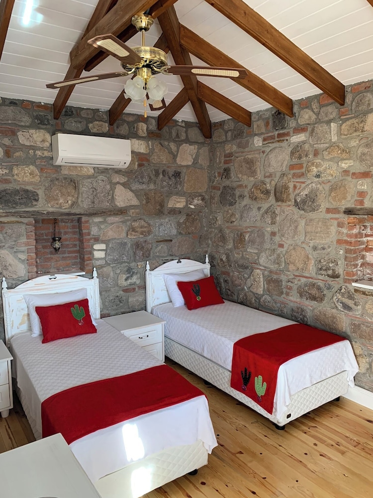 Standard Room (Kaktus)