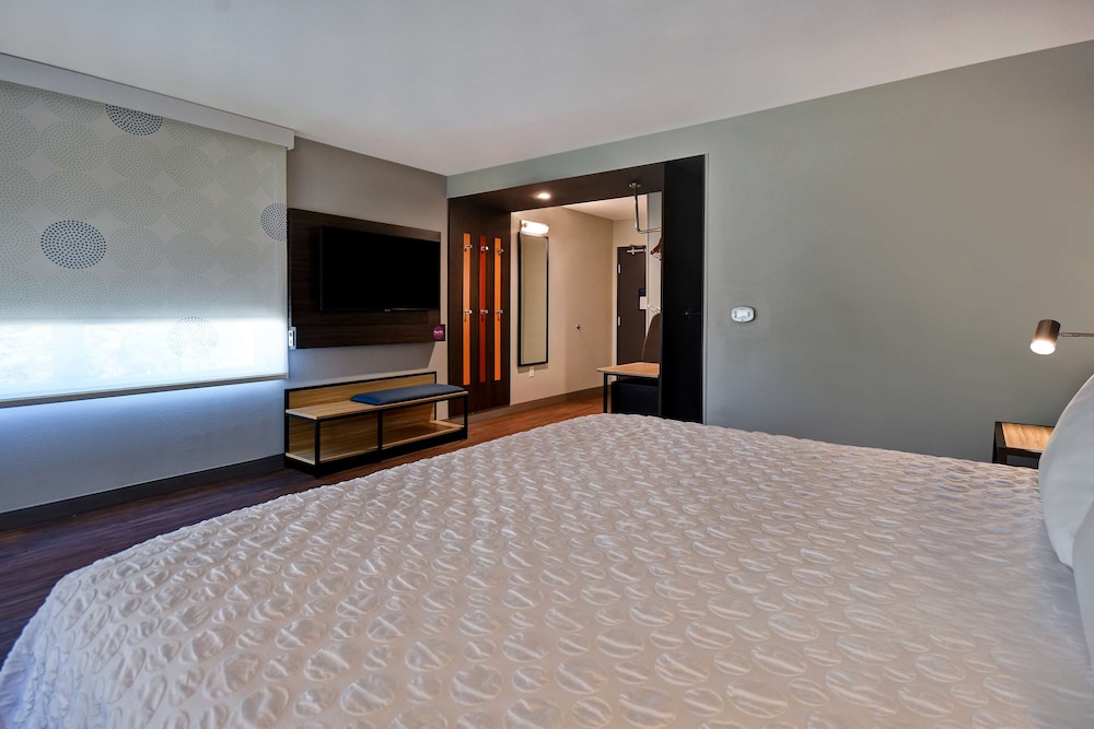 Room, 1 King Bed, Accessible (Mobility & Hearing, Roll-In Shower) photo 3