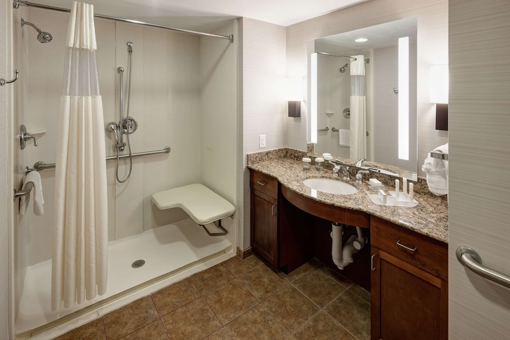 ADA Accessible, Studio, 1 King Bed, Accessible (Roll-in Shower) - Photo 6