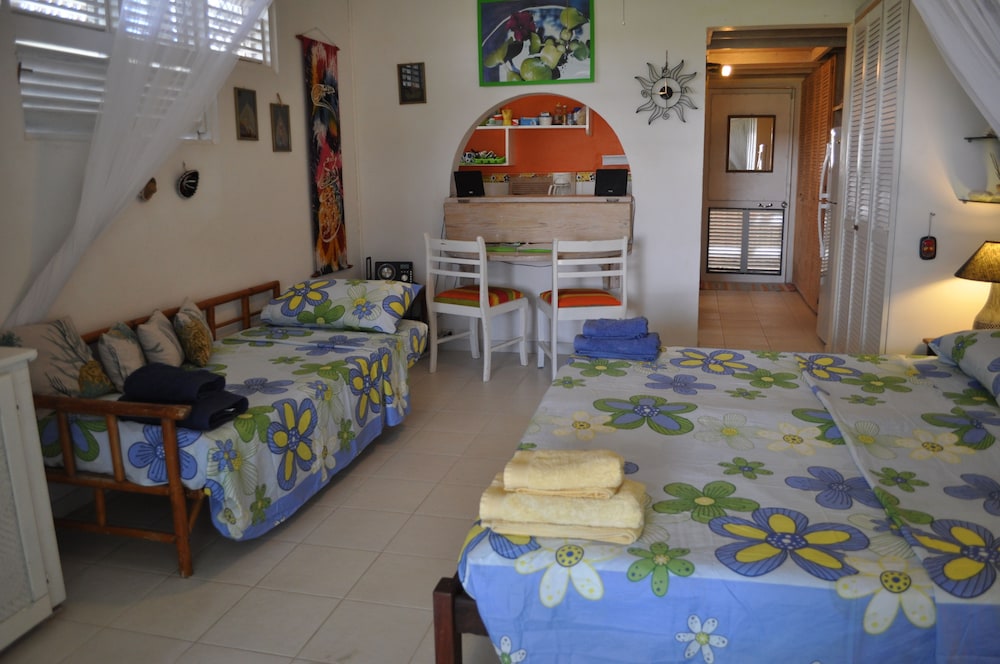 Classic Apartment, 1 Bedroom, Kitchen, Garden Area photo 2