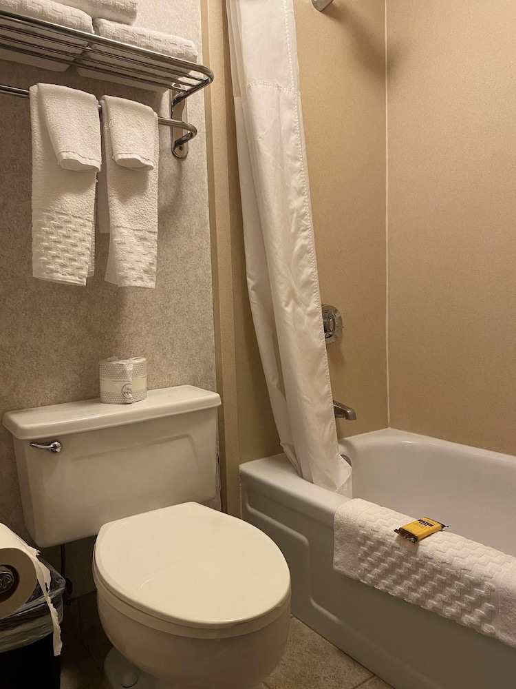Traditional Room, 2 Queen Beds, Non Smoking, Refrigerator & Microwave - Photo 8