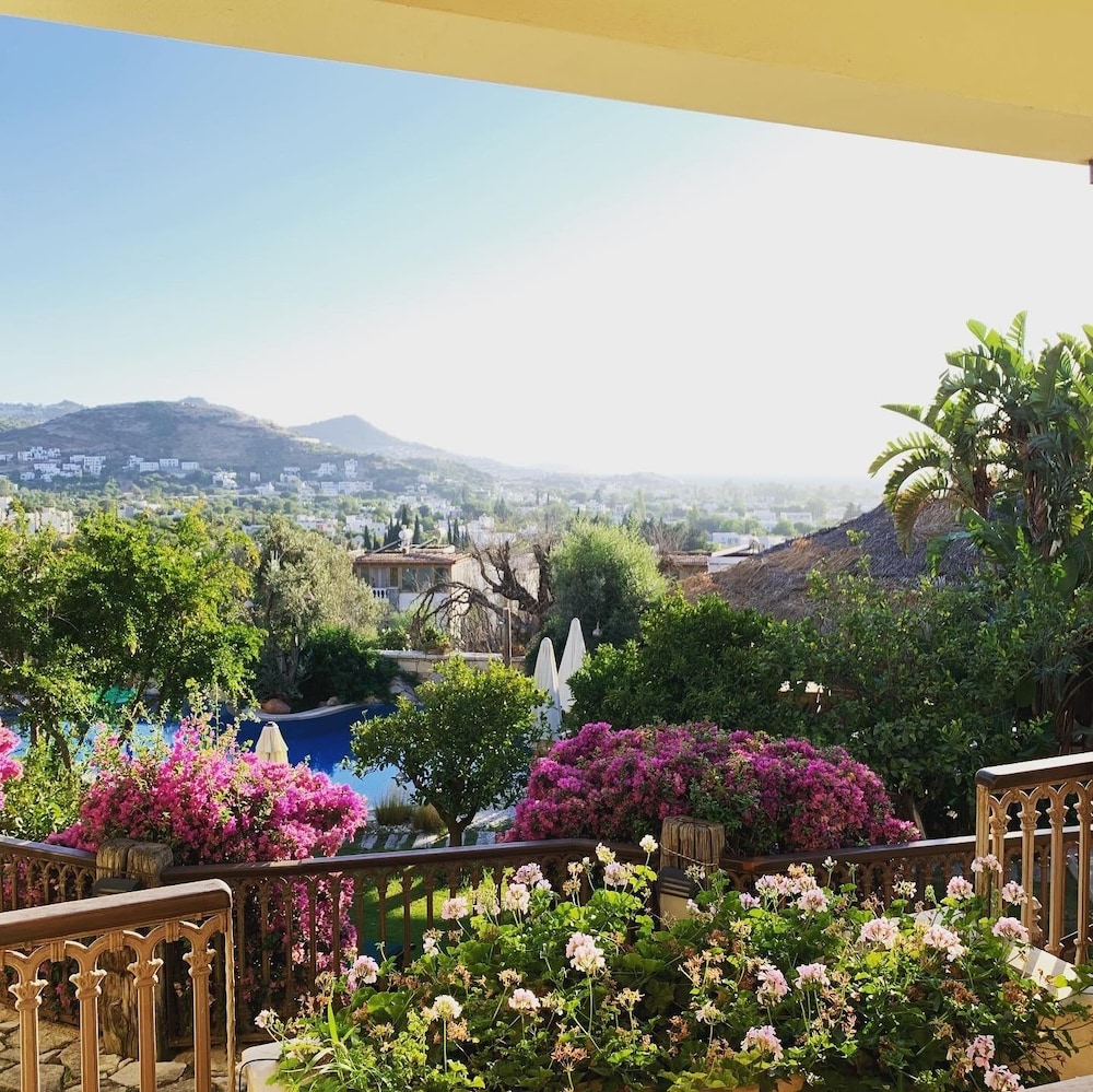 Superior Suite with Balcony & Pool View photo 2