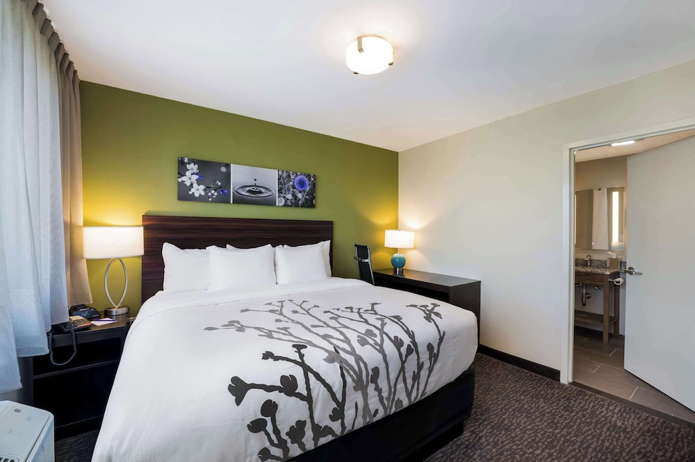 Standard Room, 1 King Bed, Non Smoking photo 2