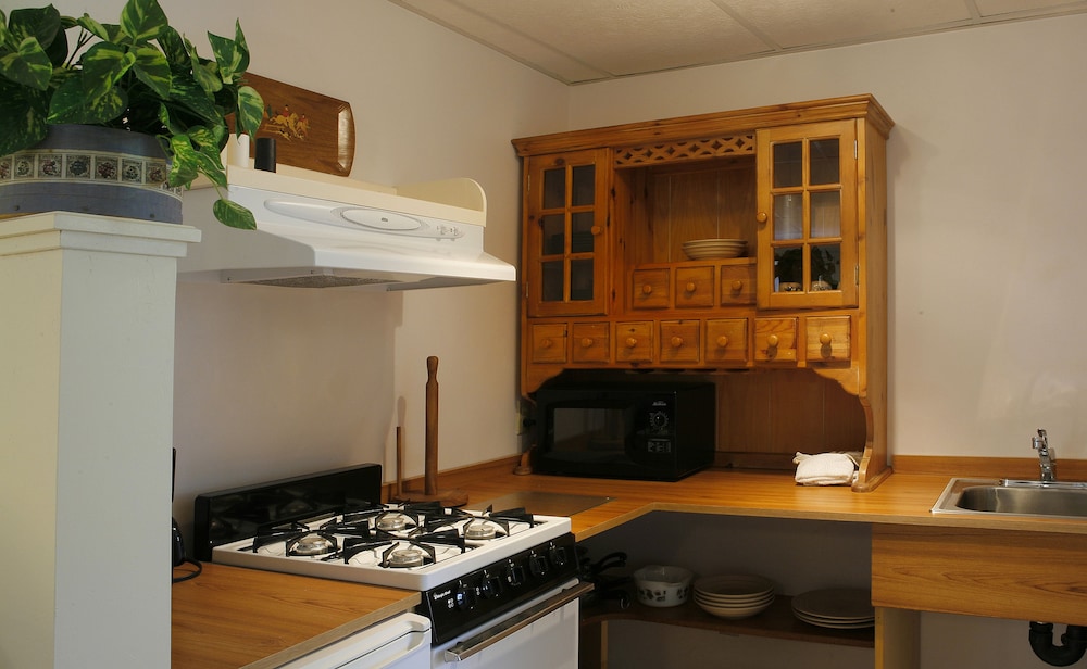 Queen Efficiency, Kitchenette,( #9) (Dog Friendly) photo 2