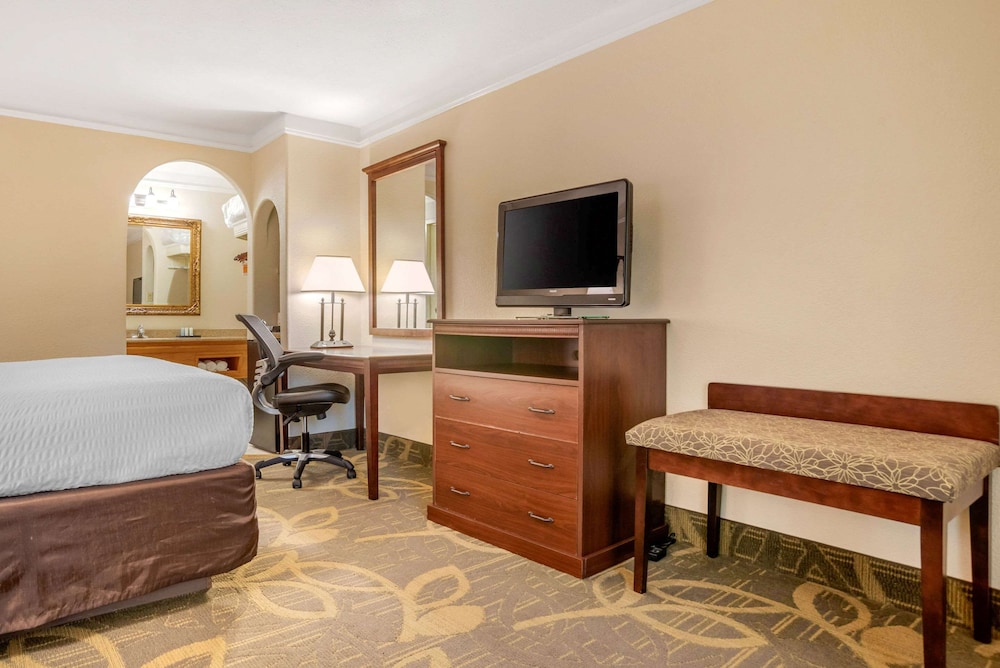 Room, 1 King Bed, Non Smoking (Pet Friendly) photo 2