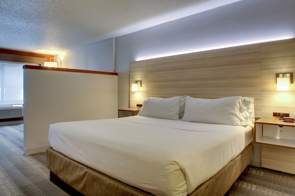 Suite, 1 Bedroom photo 2