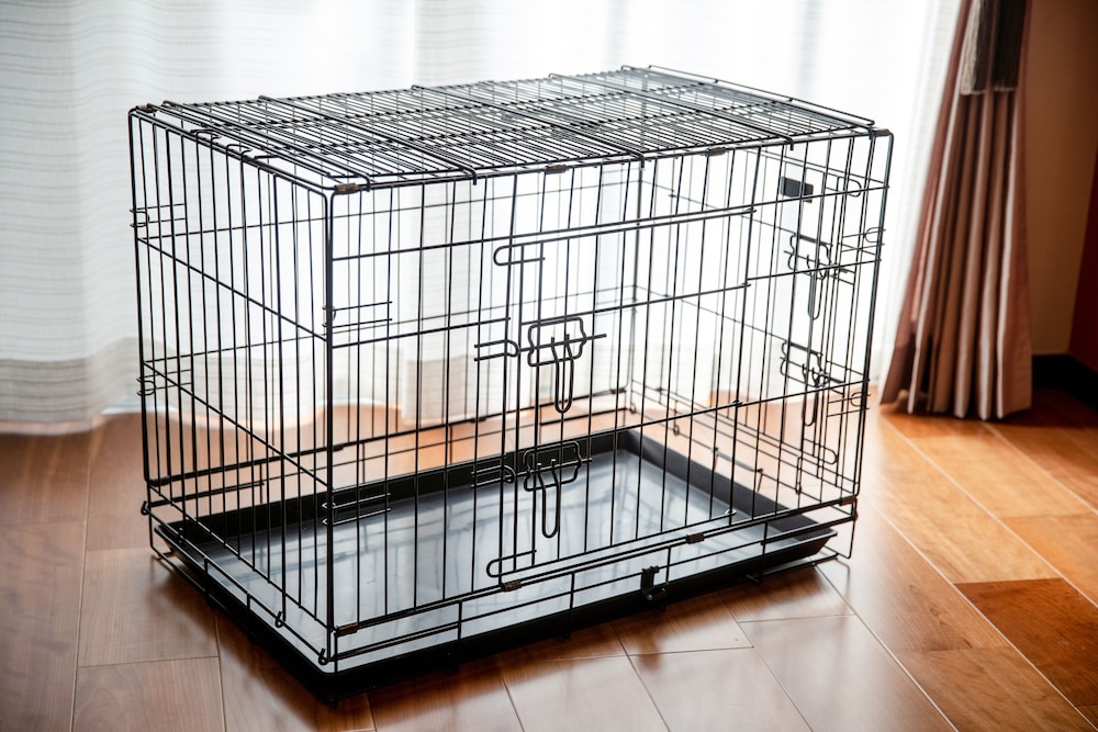 Pet Room - Photo 3