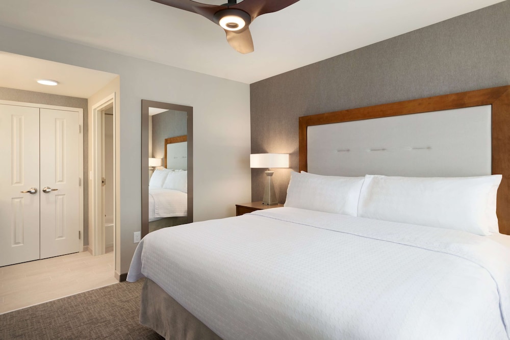 Suite, 1 King Bed, Accessible (Roll In Shower) photo 2