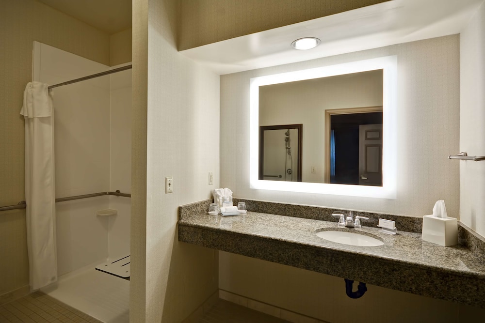 Suite, 1 King Bed, Accessible, Non Smoking - Photo 5