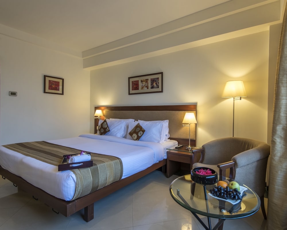 Deluxe Room - Photo 13