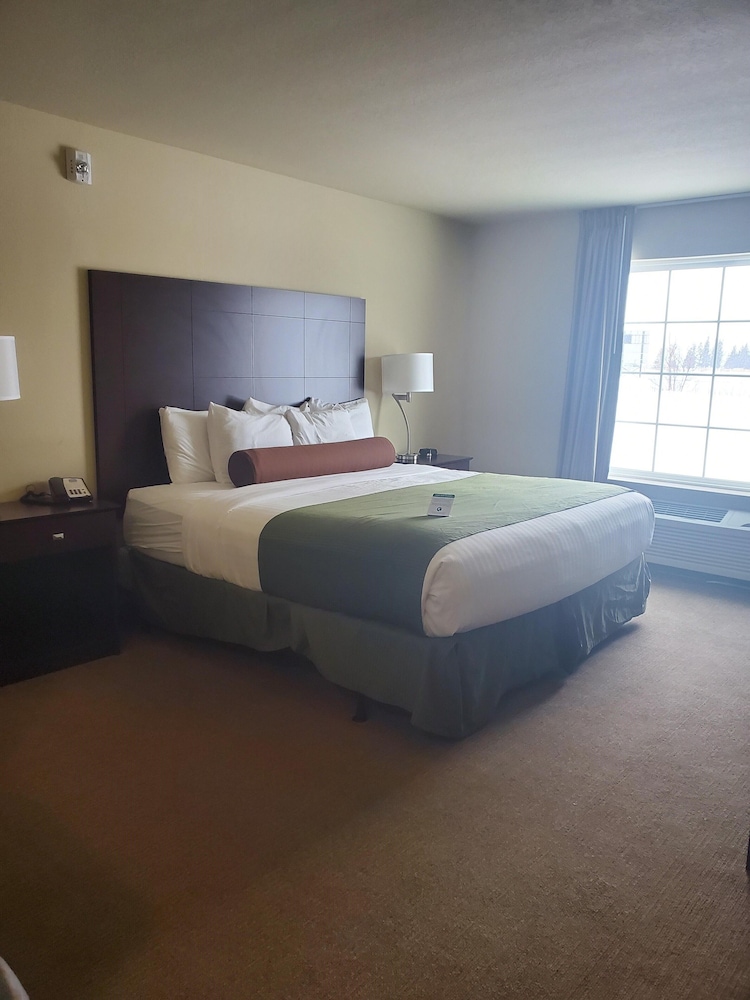 Deluxe Room, 1 King Bed, Non Smoking