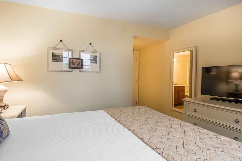 Room, 1 Queen Bed photo 2