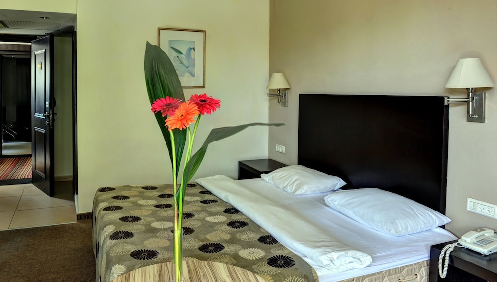 Suite, 1 Double Bed photo 3