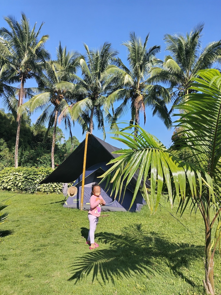 Family Tent, Garden View photo 2