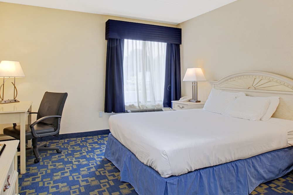 Suite, 1 King Bed - Photo 2