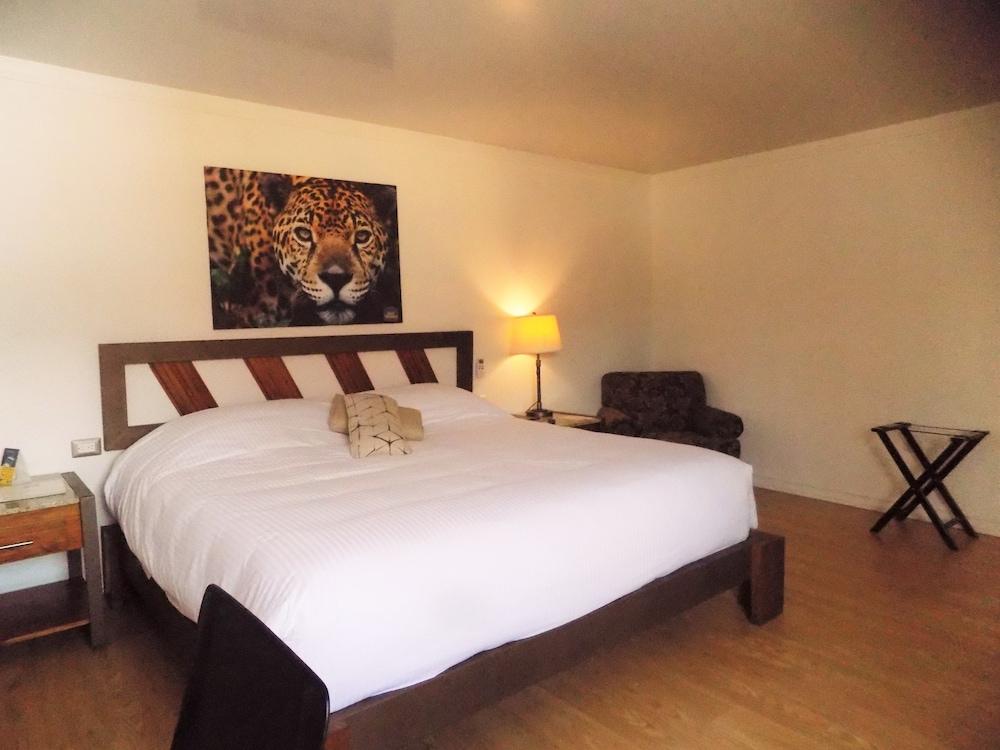 Junior Room, 1 King Bed photo 1