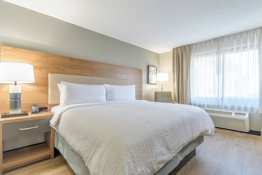 Studio Suite, 1 Queen Bed - Photo 15