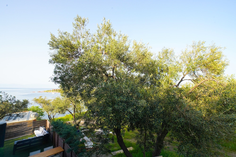 Standard Double Room Single Use, 1 Double Bed, Non Smoking, Garden View photo 3