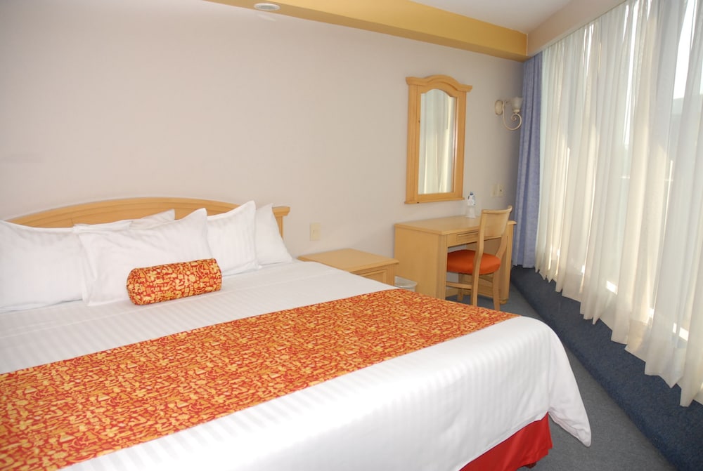 Room (Cama King) - Photo 5