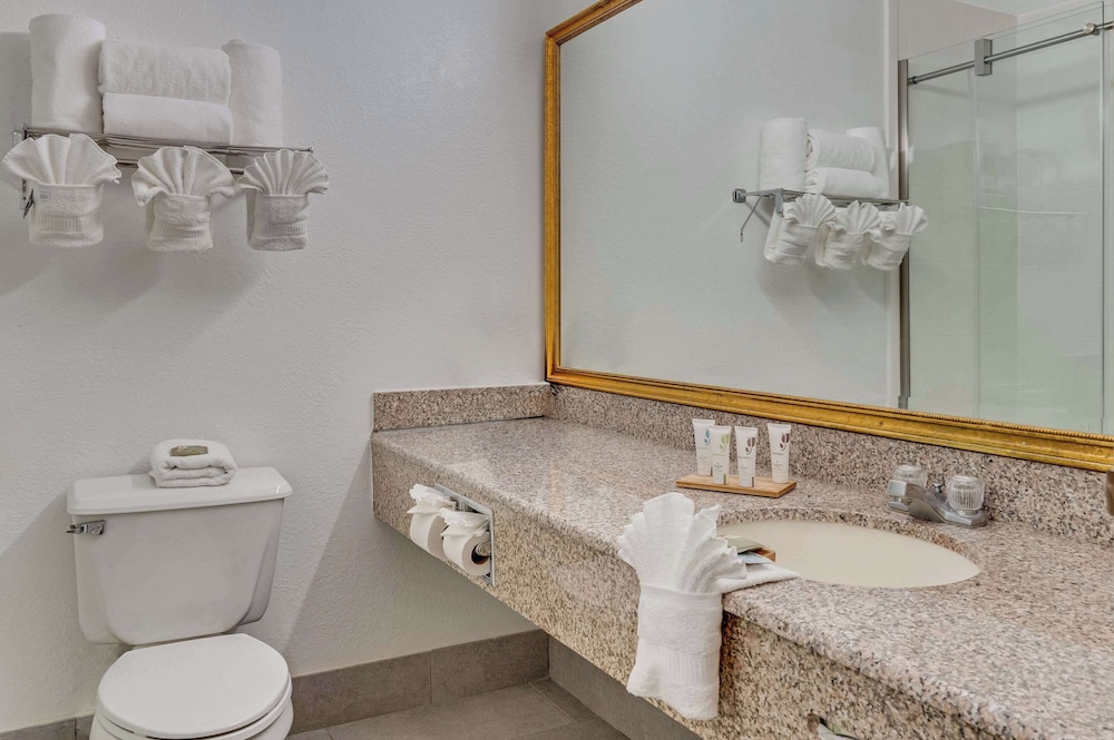 Suite, 1 Bedroom, Non Smoking - Photo 8