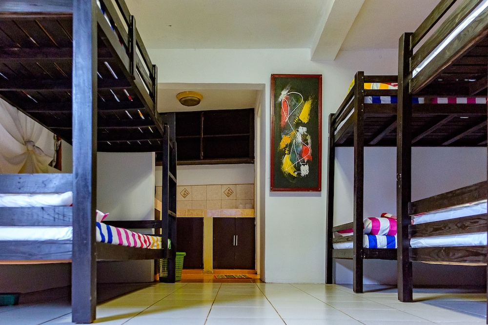 8 Bed Mixed Dorm photo 2
