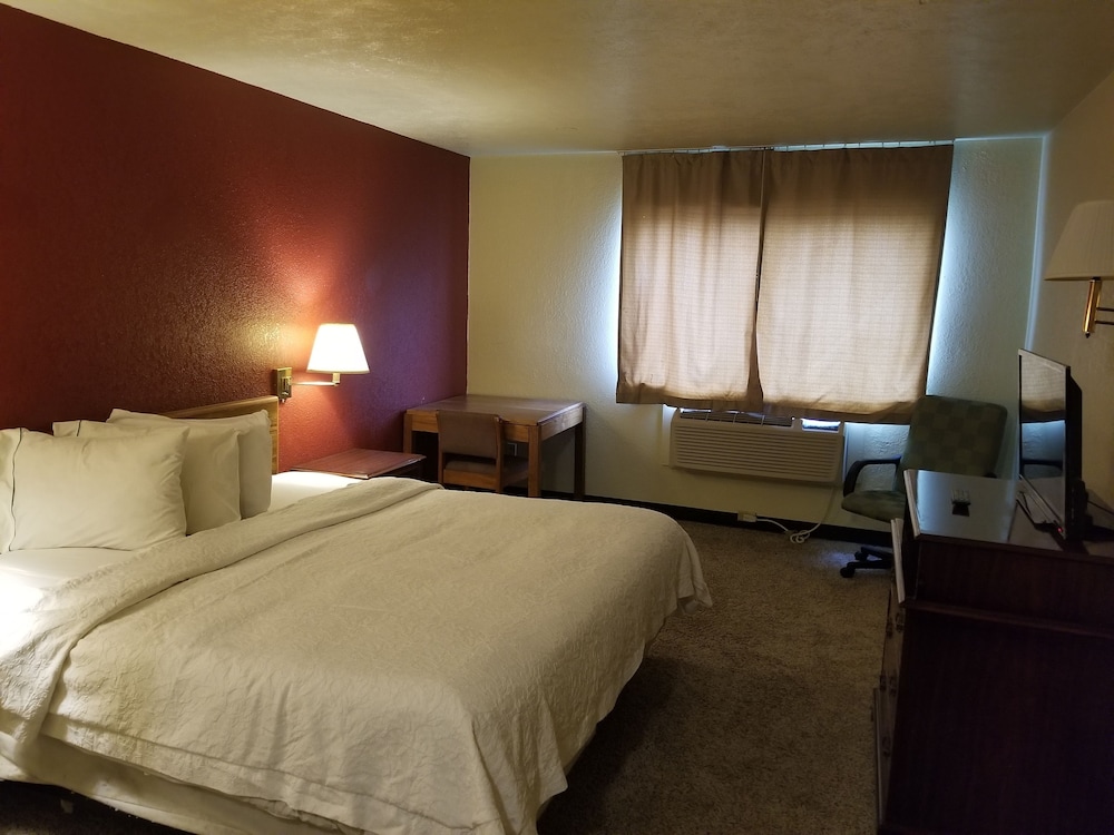Basic Single Room photo 1