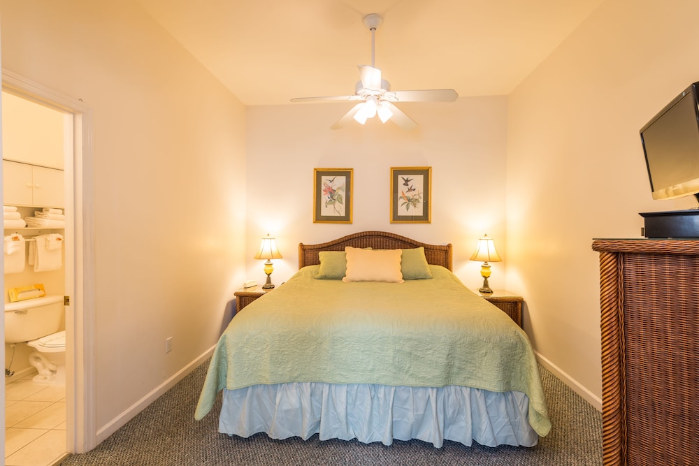 Standard Suite, 1 King Bed with Sofa bed (Room 33)
