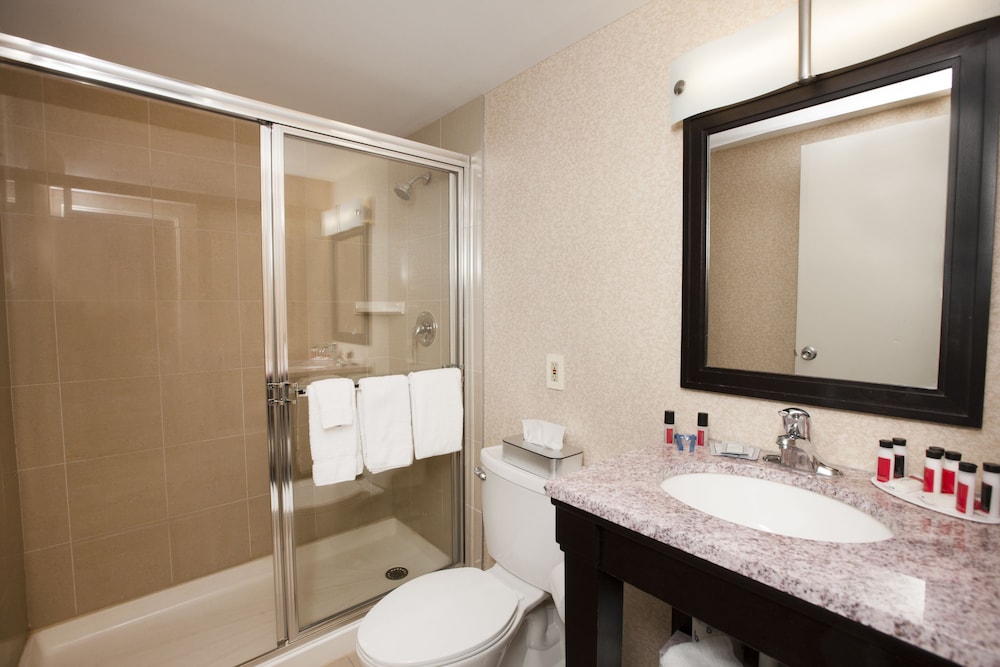 Suite, 1 King Bed (Skyline View) - Photo 6