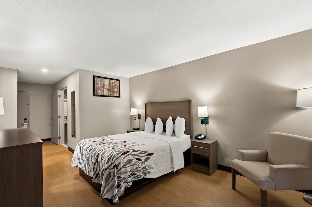 Deluxe Room, 1 Queen Bed, Accessible (Smoke Free) - Photo 5