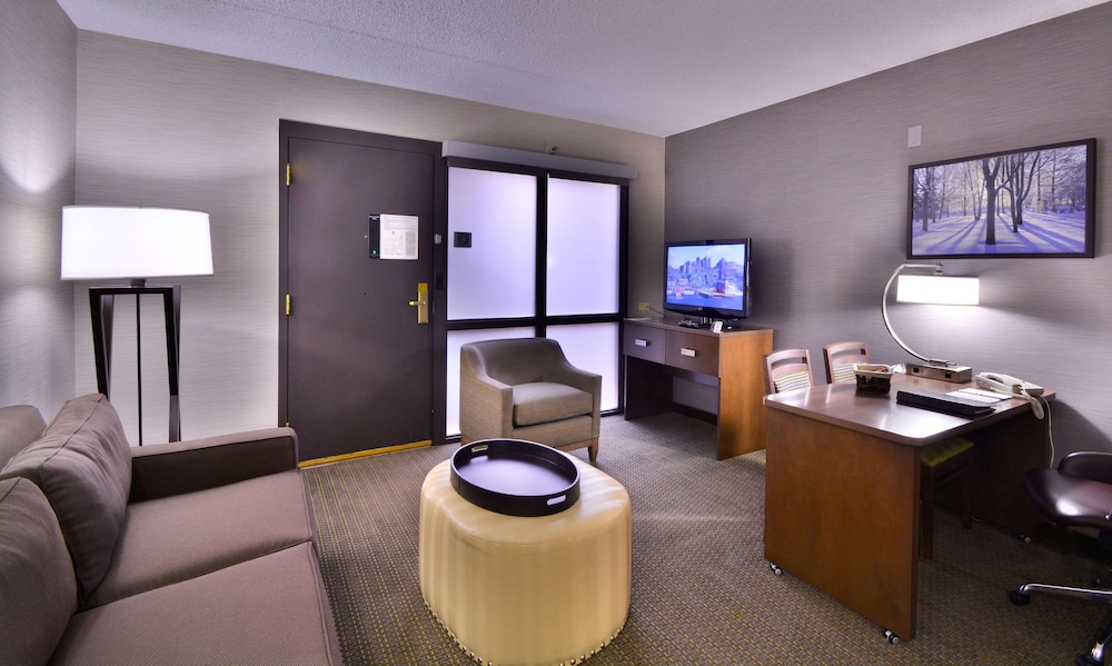 Standard Single Room, 1 King Bed, Non Smoking