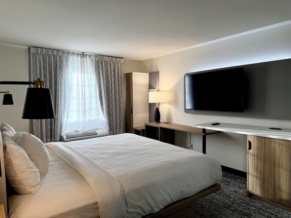 Room, 1 King Bed, Accessible, Non Smoking photo 2