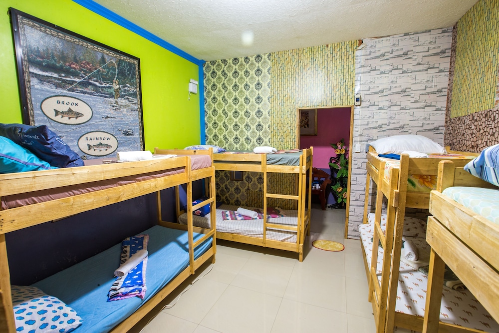Standard Shared Dormitory, Mixed Dorm photo 1
