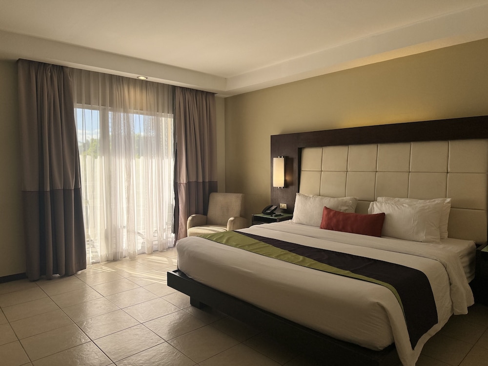 Deluxe Room, 1 King Bed - Photo 8