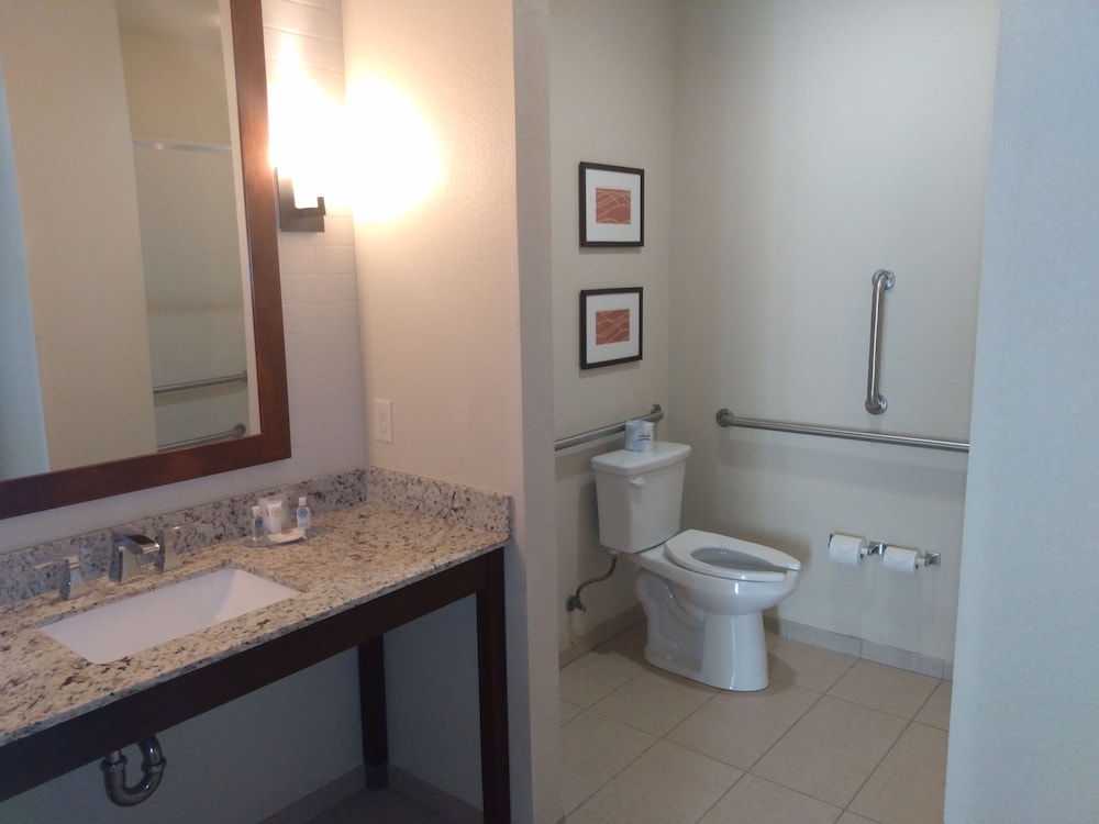 Suite, 1 King Bed, Accessible, Non Smoking photo 3