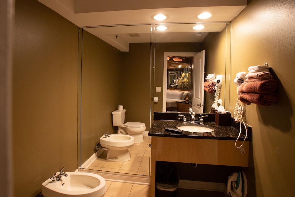 Premium Suite, 1 King Bed, Non Smoking (Adults Only) photo 3