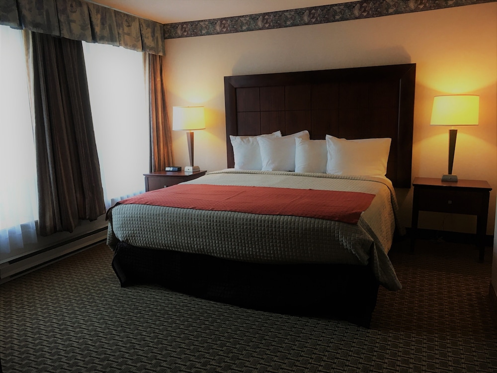 Deluxe King Suite with Sofa bed photo 1