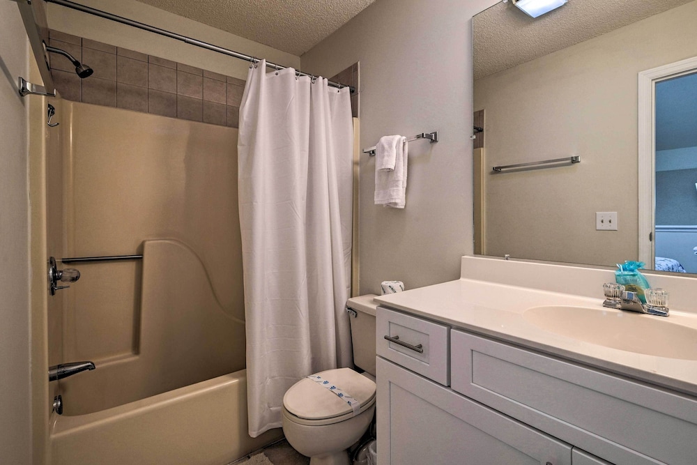 Apartment (1 Bedroom) photo 3