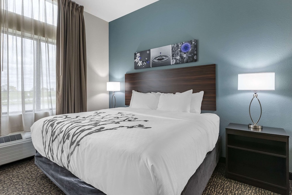 Standard Room, 1 King Bed, Non Smoking - Photo 8