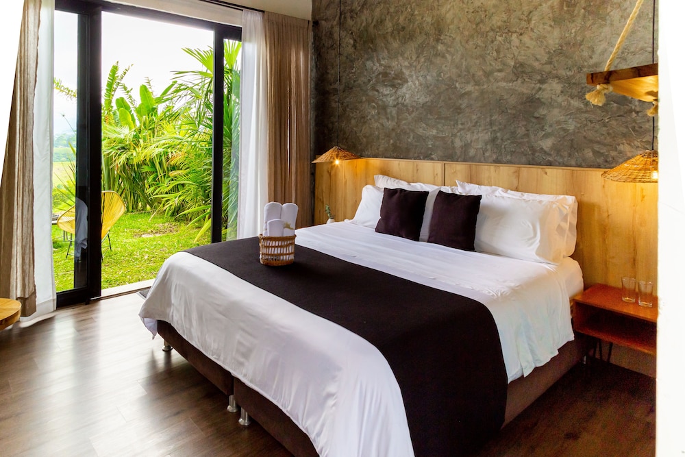 Standard Room, Mountain View