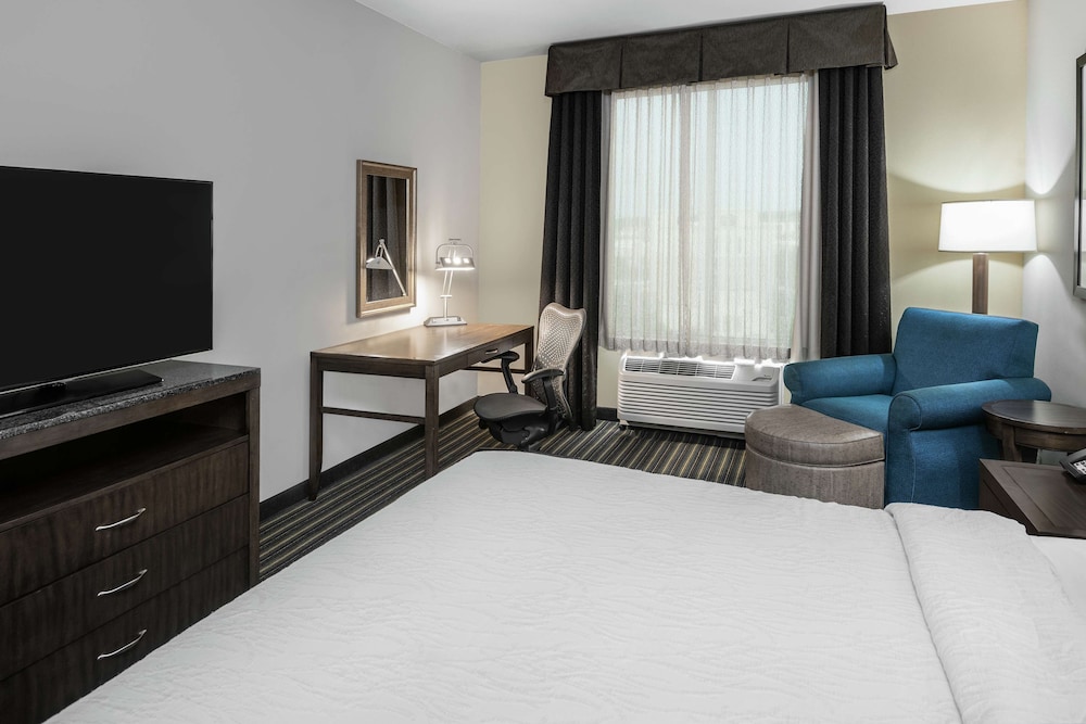 Room, 1 King Bed, Accessible (Hearing Impaired) photo 3