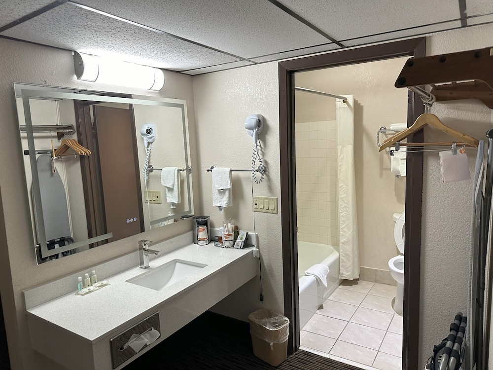 Standard Room, 1 Queen Bed, Non Smoking, Pets Allowed - Photo 16