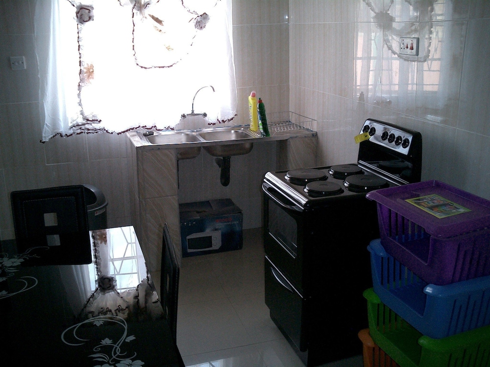 Apartment (With a Lounge) photo 2