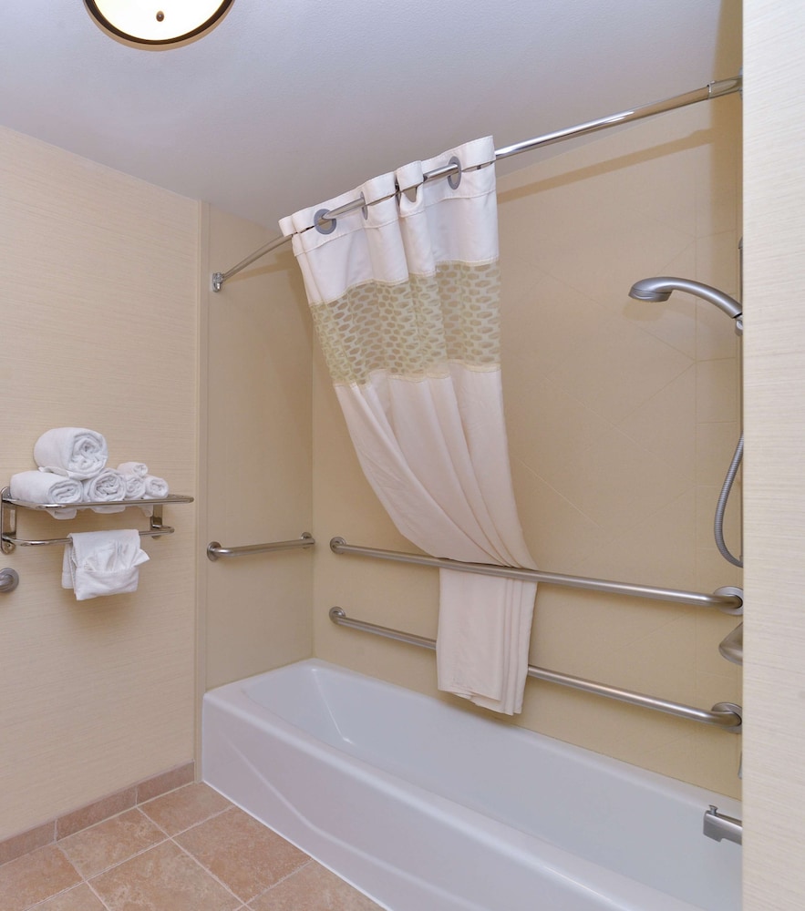 Studio, 1 King Bed, Accessible, Bathtub (Mobility & Hearing) - Photo 4