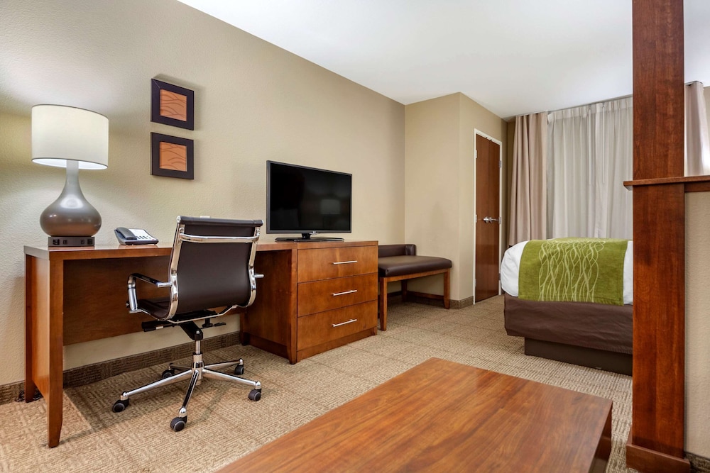 Suite, 1 King Bed with Sofa bed, Non Smoking (No Pets Allowed) photo 3