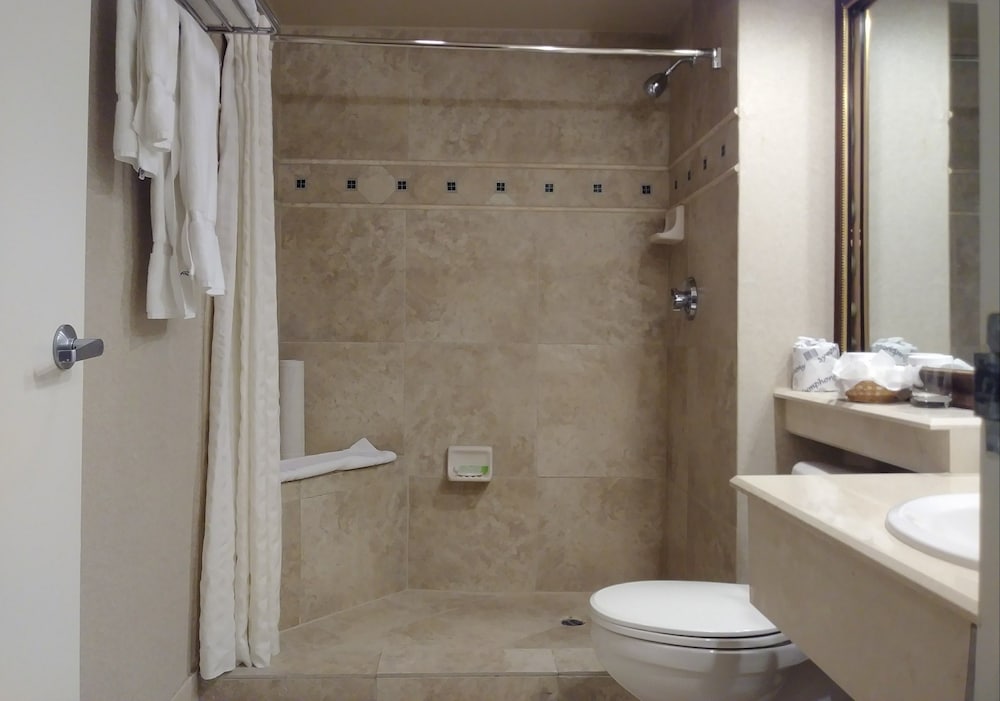 Suite, 1 King Bed - Photo 2